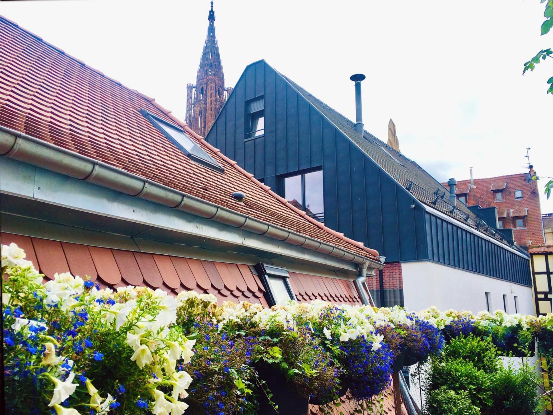Le Carre D Or Appartement Terrasse Vue Cathedrale Strasbourg Kültér fotó